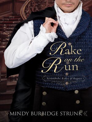 cover image of Rake on the Run